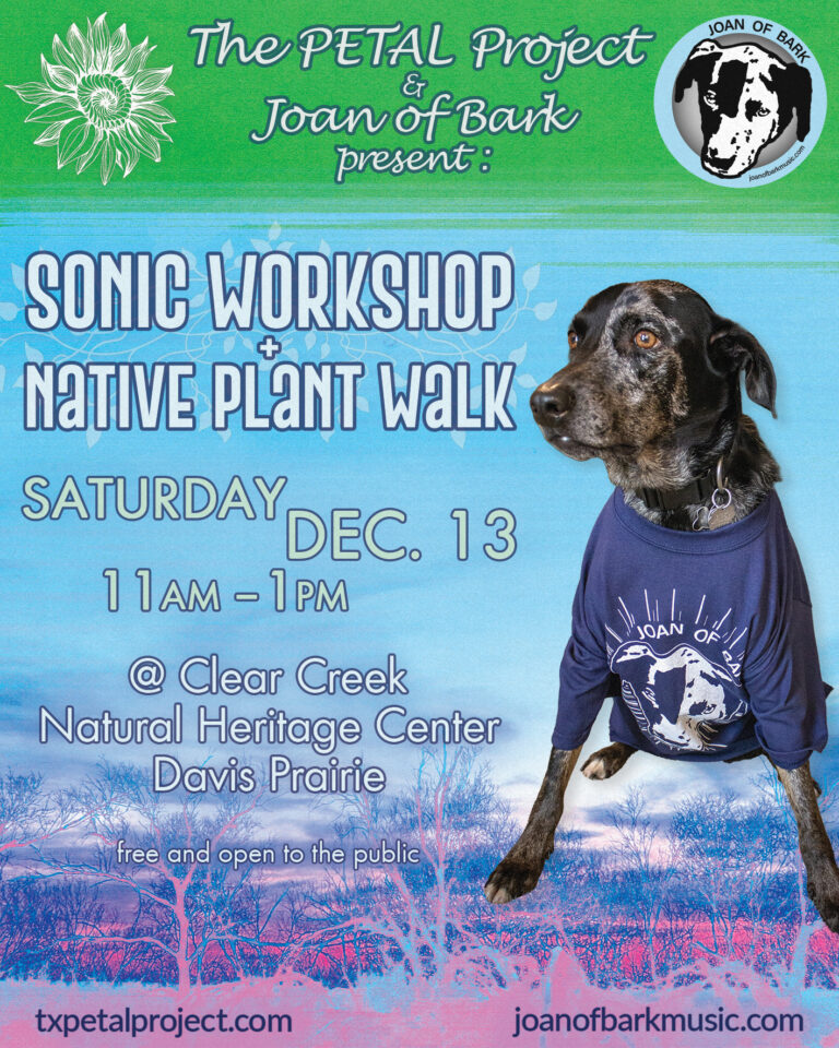 Joan of Bark Sonic Workshop & Native Plant Walk, Dec 13, 2025